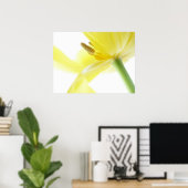 Daffodil/Narcissus Poster (Thuiskantoor)