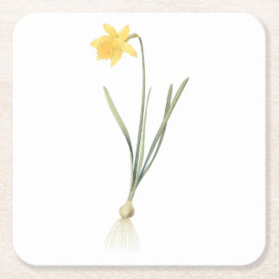 daffodil (Narcissus pseudo-narcissus) van Redouté Vierkante Kartonnen Onderzetter