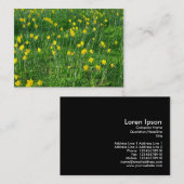 Daffodil/Narcissus Visitekaartje (Voorkant / Achterkant)