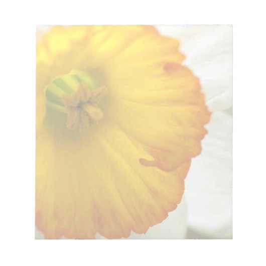 Daffodil Notitieblok (Voorkant)