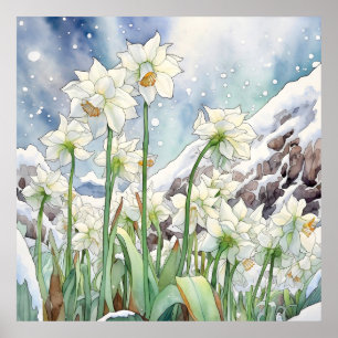 Daffodil Onder Sneeuwmuur Kunst, Bloemenplein Poster
