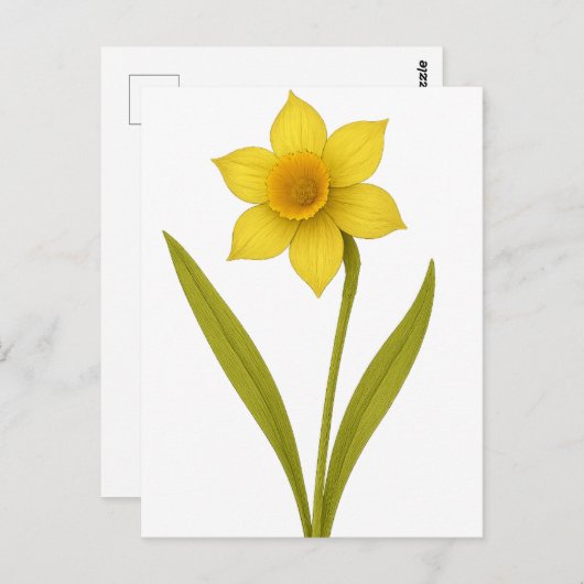 Daffodil - Ongeëvenaarde liefde, zon Briefkaart (Voorkant / Achterkant)