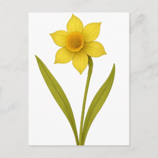 Daffodil - Ongeëvenaarde liefde, zon Briefkaart (Voorkant)