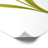 Daffodil - Ongeëvenaarde liefde, zon Poster (Hoek)