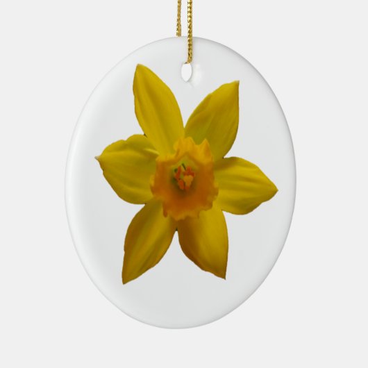 Daffodil Ornament (Rechts)