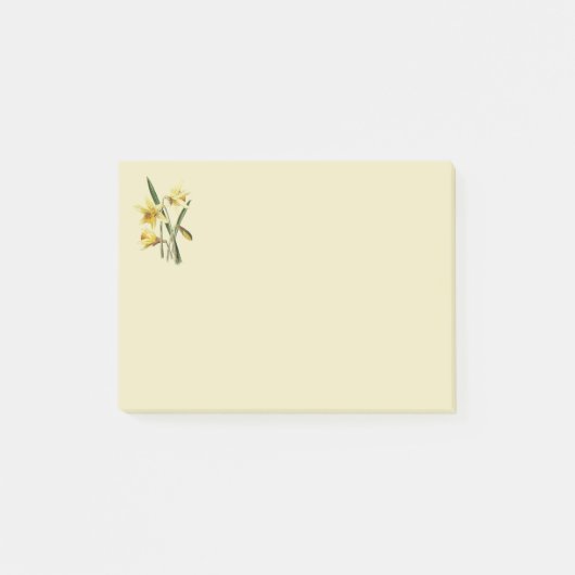 Daffodil plaatst notities post-it® notes (Voorkant)