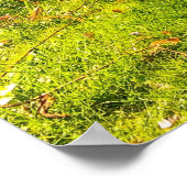 DAFFODIL POSTER (Hoek)