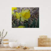 Daffodil Poster (Keuken)
