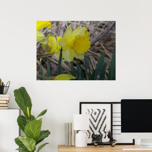 Daffodil Poster (Thuiskantoor)