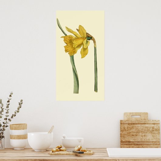 Daffodil Poster (Keuken)