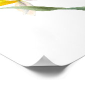 Daffodil Spring Flower Bouquet Floral Waterverf Poster (Hoek)