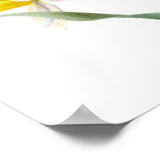 Daffodil Spring Flower Bouquet Floral Waterverf Poster (Hoek)