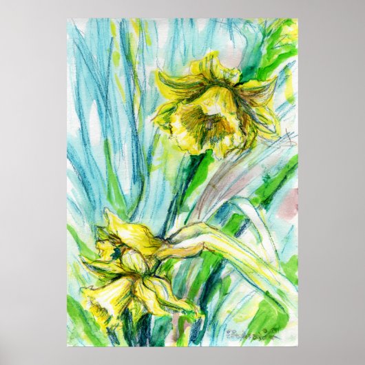 Daffodil Spring Waterverf Art Poster (Voorkant)
