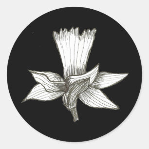 Daffodil Sticker