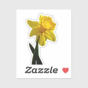 Daffodil Sticker