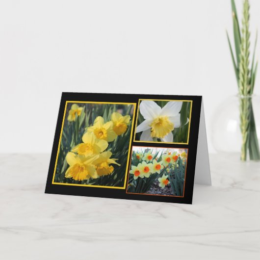 Daffodil Trio Kaart (Voorkant)