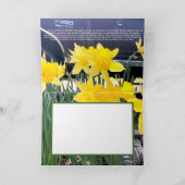 Daffodil van mijn oude wenskaart, dankbaarheid kaart (Binnen)