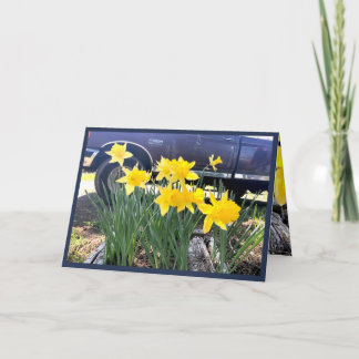 Daffodil van mijn oude wenskaart, dankbaarheid kaart