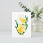 Daffodil Vintage Botanical Postcard Briefkaart (Staand voorkant)
