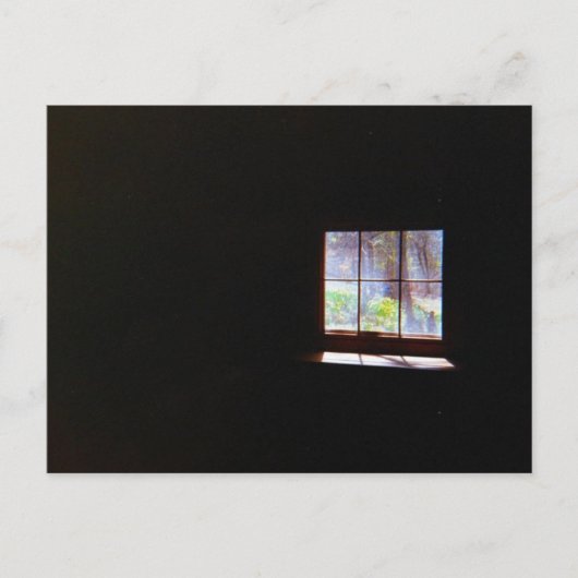 Daffodil Window Briefkaart (Voorkant)