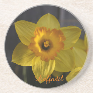 Daffodil zandsteen onderzetter