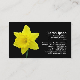 Daffodil - zwart visitekaartje