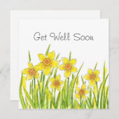 Daffodilatieveld (Voorkant / Achterkant)