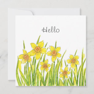 Daffodilatieveld