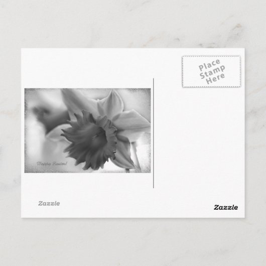 Daffodilbloemen Briefkaart (Achterkant)