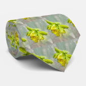 Daffodile de cravate - naturel (Roulé)