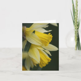 Daffodilerkaart Feestdagen Kaart