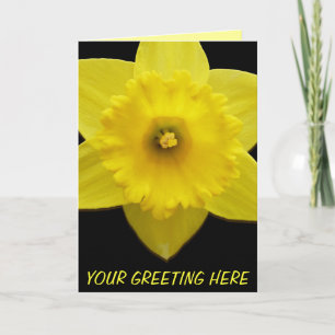 Daffodilerkaarten, speciaal ontworpen voor deffodi feestdagen kaart