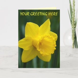Daffodilerkaarten, speciaal ontworpen voor deffodi feestdagen kaart