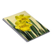 Daffodiles - carnet (Côté Droit)