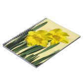 Daffodiles - carnet (Côté gauche)