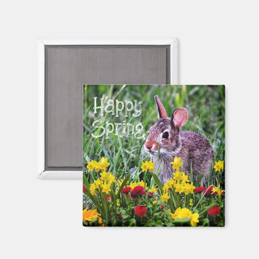 Daffodiles et aimants à lapin wILD (Recto/Verso)