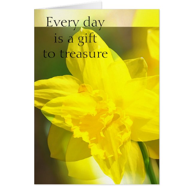 Daffodiles jaunes Abstraits (Devant)