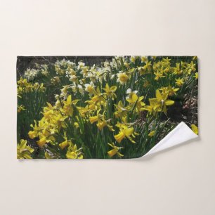Daffodiles jaunes et blancs Fleurs de printemps