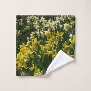 Daffodiles jaunes et blancs Fleurs de printemps