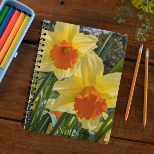 Daffodiles jaunes et orange Carnet floral