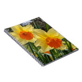 Daffodiles jaunes et orange Carnet floral (Côté Droit)