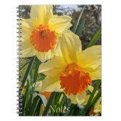 Daffodiles jaunes et orange Carnet floral (Devant)