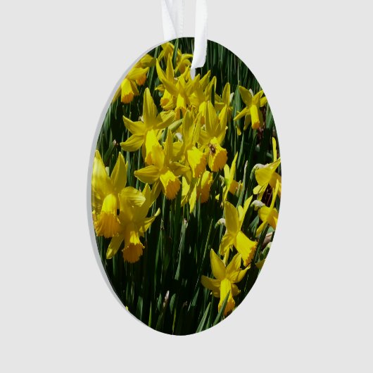 Daffodiles Jaunes I Fleurs De Printemps Cheveux (devant)