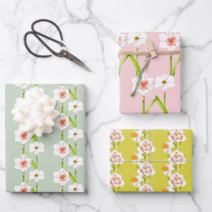 Daffodiles sur un ensemble de papier d'emballage (