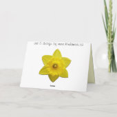 Daffodilkaarten, speciaal ontworpen klepkaarten feestdagen kaart (Achterkant)