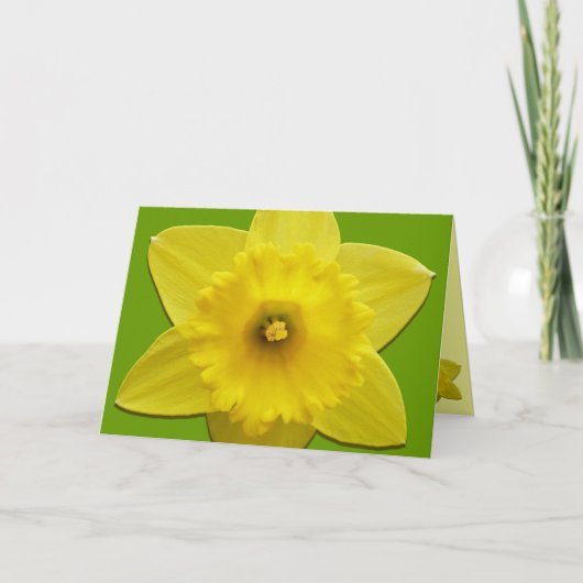 Daffodilkaarten, speciaal ontworpen klepkaarten feestdagen kaart (Voorkant)