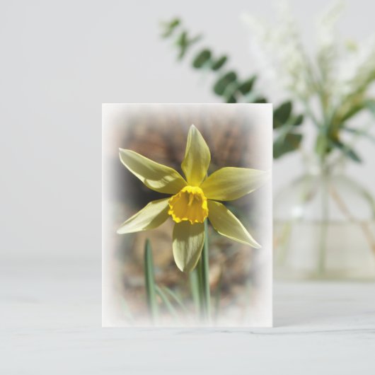 Daffodill Briefkaart (Staand voorkant)