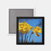 Daffodillen Magneet (Voorkant / Achterkant)