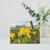 Daffodils Briefkaart (Staand voorkant)