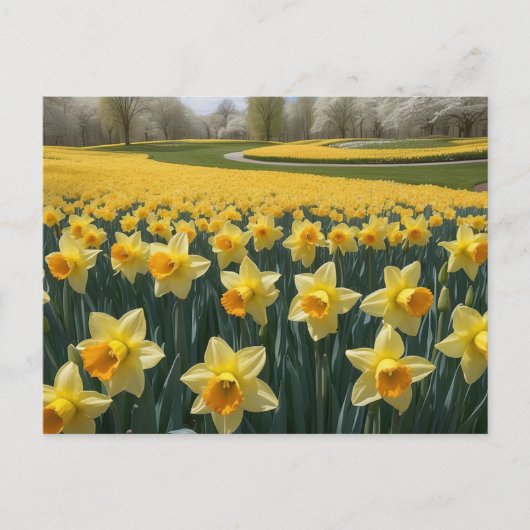 Daffodils Briefkaart (Voorkant)